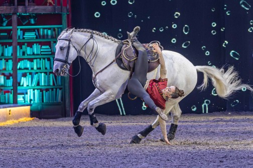 Cavalluna (c) Bimar Markus Steffen